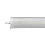 Светодиодная Лампа ECOLED T8-600MH 110V Day White (Arlight, T8 линейный) 014058