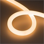 Лента герметичная MOONLIGHT-SIDE-FP-X1088-D25mm 24V Warm2300 (20 W/m, IP65, 5m, wire x1) (Arlight, Вывод боковой, 3 года) 038870