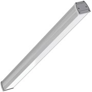LIRA-55/TRANSPARENT-1200/IP54 (5000K, серый) ЦБ000015377
