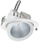 Delius DL-C 30Вт 3000K 30гр D=187мм h=154мм d=172мм 3100Лм (аналог JS014) (встраиваемый поворотный круглый) DL-190303001