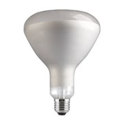 Лампа GE  250R/IR/CL/E27 240V   прозр 28724