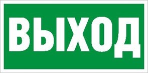 ПЭУ 010 Выход пиктограмма 2502000110