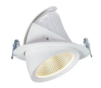Светильник DELIUS EVO 40/840 38гр., белый - встраиваемый выдвижной светодиодный   DL-ET-D02240WN-38
