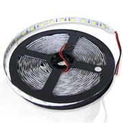 Светодиодная лента LT120-S3528-W х.бел, IP20, 120*, DC-12v, 9,6w/m, (S207) 1600-1900mcd/led, 120/m 8*5000mm 655003