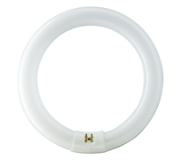 Лампа TL-E 22W/54-765  G10q  PHILIPS  - 871150063390315