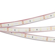 Лента RTW 2-5000PGS 12V Day White (3528,300LED,LUX 015446