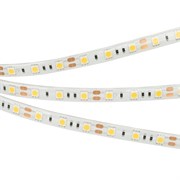 Лента RTW 2-5000SE 12V Day 2x (5060, 300 LED, LUX) (arlight, 14.4 Вт/м, IP65) 015453(B)
