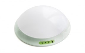 Pelastus PL CL 1.0 Светильник аварийный потолочный светодиодный. Батарея:Ni-Cd, 1.2В 0.8А/ч, 10W, 325*105 мм PL CL 1.0 светодиодный
