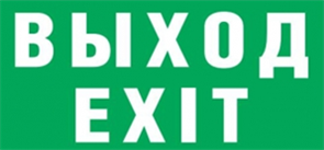 Пиктограмма "ВЫХОД EXIT"  для светильника Pelastus PL EML 1.1 230х120мм 2000000256845