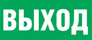Пиктограмма "ВЫХОД" для светильника Pelastus PL EML 1.0  20000056984178