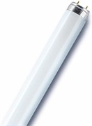 Лампа люминесцентная L   8/21-840  LUMILUX PLUS ECO G5 d16x288 4000K OSRAM 4099854131370