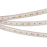 Лента RTW 2-5000PS 12V Day4000 2x (5060, 300 LED, LUX) (arlight, 14.4 Вт/м, IP67) 022324-1