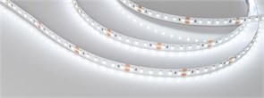 Светодиодная лента NT-A120-8mm 24V White6000 (9.6 W/m, IP20, 3528, 5m) (Arlight, Открытый) 033525