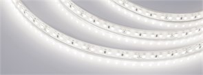 Светодиодная лента герметичная RTW-PU-A120-10.5mm 24V Day4500 (16.8 W/m, IP68, 2835, 5m) (Arlight, -) 029514(2)