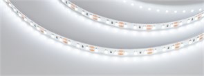 Светодиодная лента NT-A120-8mm 12V White6000 (9.6 W/m, IP20, 3528, 5m) (Arlight, Открытый) 035704