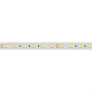 Лента герметичная RTW-PFS-B60-13mm 24V Day5000 (14.4 W/m, IP68, 5060, 5m) (Arlight, 14.4 Вт/м, IP68) 036462