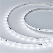 Лента RT-10000 24V White6000 (3528, 60 LED/m, 10m) (Arlight, 4.8 Вт/м, IP20) 024987
