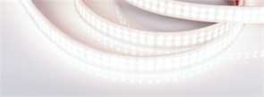 Лента RTW 2-5000PW 24V White6000 2x2 (3528, 1200 LED, LUX) (Arlight, 19.2 Вт/м, IP66) 018998-1
