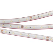 Лента RTW 2-5000PS-50m 24V White5500 (3528, 60 LED/m, LUX) (Arlight, 4.8 Вт/м, IP67) 024563