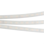Лента RTW 2-5000PW 12V Day4000 2x (5060, 300 LED, LUX) (Arlight, 14.4 Вт/м, IP66) 016168-1
