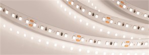 Светодиодная лента IC2-20000 24V Day4000 2x 12mm (2835, 120 LED/m, Long) (Arlight, 9.6 Вт/м, IP20) 024591(2)