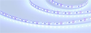 Лента RT 2-5000 12V Blue 2x (3528, 600 LED, LUX) (Arlight, 9.6 Вт/м, IP20) 012330(1)