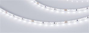 Лента MICROLED-M120-4mm 24V White6000 (5.4 W/m, IP20, 2216, 5m) (Arlight, 5.4 Вт/м, IP20) 024417(2)