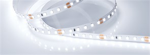 Лента RT 2-5000 24V Cool 8K 2x (2835, 600 LED, PRO) (Arlight, 14.4 Вт/м, IP20) 016888(1)
