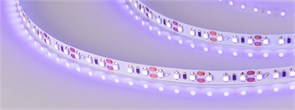 Лента RT-A120-8mm 12V UV400 (9.6 W/m, IP20, 2835, 5m) (Arlight, Открытый) 012812(2)