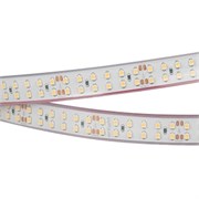 Лента RTW 2-5000P 24V White6000 2x2 (3528, 1200 LED, LUX) (Arlight, 19.2 Вт/м, IP66) 014958
