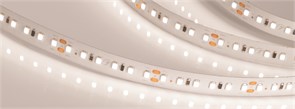 Лента IC2-20000 24V Day4000 2x 12mm (2835, 120 LED/m, Long) (Arlight, 9.6 Вт/м, IP20) 024591