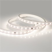 Лента ARL-50000PV-230V Day4000 (5060, 54 LED/m, WP2) (Arlight, 8 Вт/м, IP65) 027057