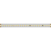 Лента IC 2-50000 48V Day4000 12mm (2835, 144 LED/m, LUX) (Arlight, 5.8 Вт/м, IP20) 026833