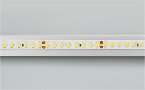 Лента RT 2-5000 24V Day5000 2x (2835, 160 LED/m, LUX) (Arlight, 12 Вт/м, IP20) 024536