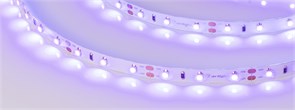 Лента RT-A60-8mm 12V UV400 (4.8 W/m, IP20, 2835, 5m) (ARL, Открытый) 012813(2)