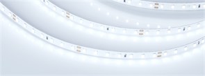 Лента RT 2-5000 24V Cool 8K 1.6x (2835, 490 LED, PRO) (Arlight, 10 Вт/м, IP20) 019912(1)