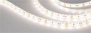 Лента герметичная RTW-SE-B60-10mm 12V Day4000 (14.4 W/m, IP65, 5060, 5m) (Arlight, 14.4 Вт/м, IP65) 015453(2)