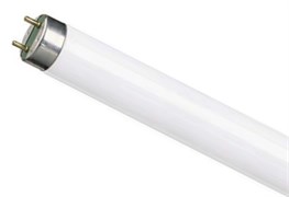 Лампа TL-D 18W/ 765 G13  PHILIPS  -    2500шт/палл 70267840