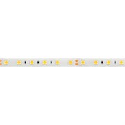Лента RTW 2-5000SE 24V Cool 2x (5060, 300 LED, LUX) (Arlight, 14.4 Вт/м, IP65) 016847