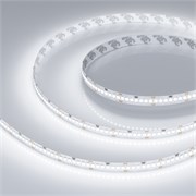 Лента RT-A252-10mm 24V White6000 (11 W/m, IP20, 2835, 5m) (Arlight, 11 Вт/м, IP20) 022648(2)
