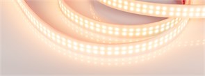 Лента RTW 2-5000PW 24V Warm2700 2x2 (3528, 1200 LED, LUX) (Arlight, 19.2 Вт/м, IP66) 018999