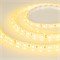 Лента RTW 2-5000SE 24V Yellow 2x (5060, 300 LED, LUX) (Arlight, 14.4 Вт/м, IP65) 017493-1 - фото 100028