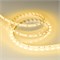 Лента RT-B60-10mm 24V Yellow (14.4 W/m, IP20, 5060, 5m) (Arlight, 14.4 Вт/м, IP20) 008816(2) - фото 100140