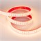 Лента RTW 2-5000P 24V Warm2700 2x2 (3528, 1200 LED, LUX) (Arlight, 19.2 Вт/м, IP66) 014954 - фото 100157