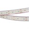 Лента RTW 2-5000P 24V Warm2700 2x2 (3528, 1200 LED, LUX) (Arlight, 19.2 Вт/м, IP66) 014954 - фото 100158