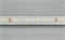 Лента RT 2-5000-50m 24V White5500 (2835, 80 LED/m, LUX) (Arlight, 6 Вт/м, IP20) 024522 - фото 100330