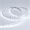 Лента RT 2-5000-50m 24V White5500 (2835, 80 LED/m, LUX) (Arlight, 6 Вт/м, IP20) 024522 - фото 100332