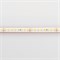 Светодиодная лента герметичная RTW-PS-A160-10mm 24V Warm2700 (12 W/m, IP67, 2835, 5m) (Arlight, 12 Вт/м, IP67) 024545(2) - фото 100365