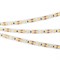 Лента RT-A120-8mm 12V Warm2400 (9.6 W/m, IP20, 2835, 5m) (Arlight, 9.6 Вт/м, IP20) 018091(2) - фото 100500