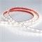 Лента RTW 2-5000PS 12V White6000 (3528, 300 LED, LUX) (Arlight, 4.8 Вт/м, IP67) 021099 - фото 100610